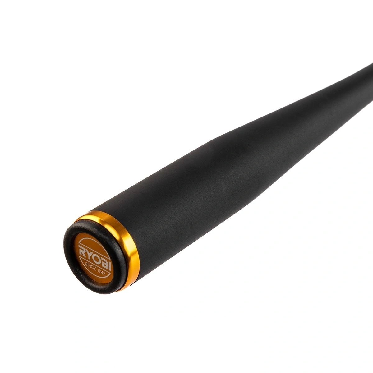 Спиннинг RYOBI Ixorne Seabass